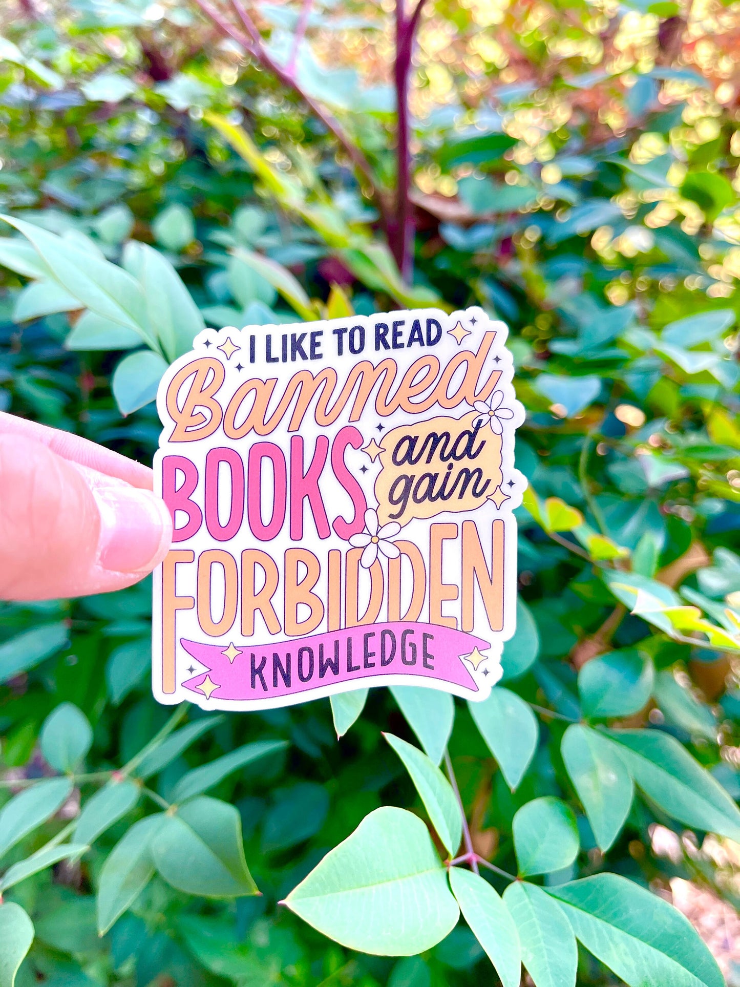 I Like to Read Banned Books Sticker - Forbidden Books - Booktok - Book Club - Bookish Sticker - Kindle Sticker